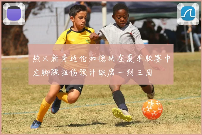 热火新秀迈伦加德纳在夏季联赛中左脚踝扭伤预计缺席一到三周