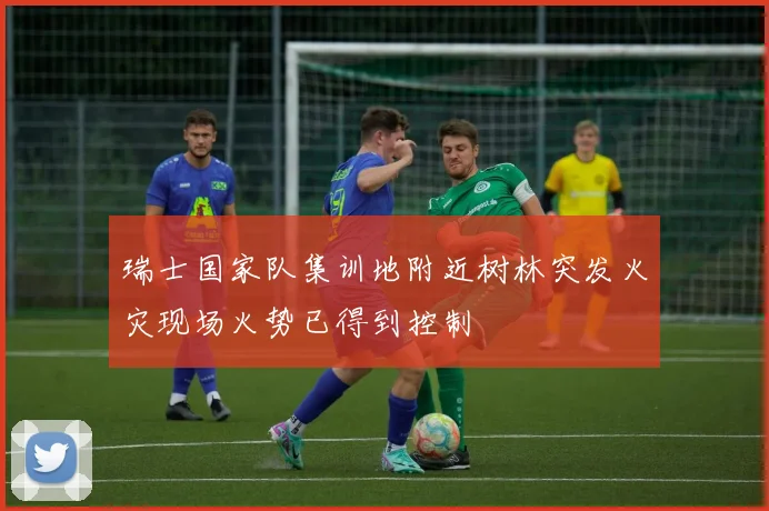瑞士国家队集训地附近树林突发火灾现场火势已得到控制
